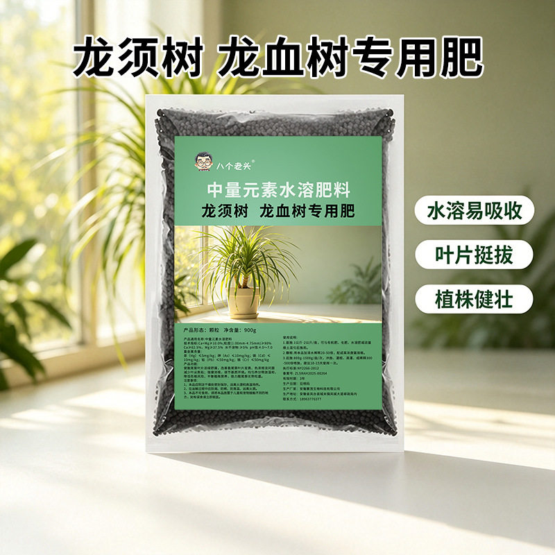 龙须树龙血树专用肥龙须龙血树花肥黄金枫盆景盆栽树红颗粒缓释肥