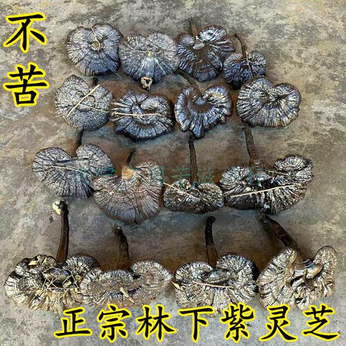 紫灵芝正宗林下仿野生整枝干货香
