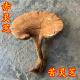 赤灵芝含孢子粉仿野生红灵芝大朵整枝苦赤灵芝500克 可帮切片 包邮