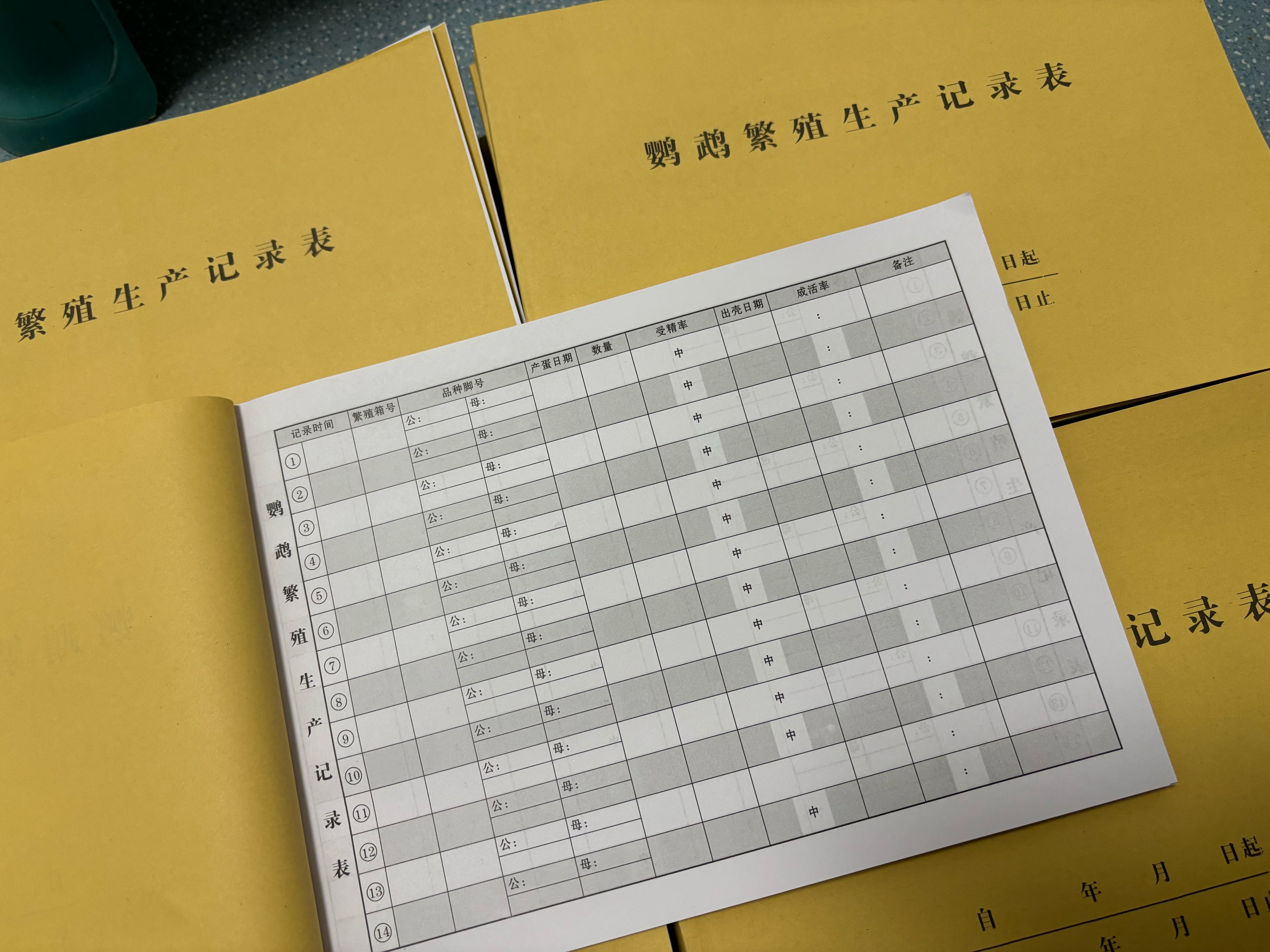 鹦鹉配种繁殖记录本养殖繁殖后代登记配种鹦鹉繁殖生产记录台帐