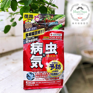 住友园艺原装进口杀虫 杀菌 颗粒蚜虫白粉病黑星病