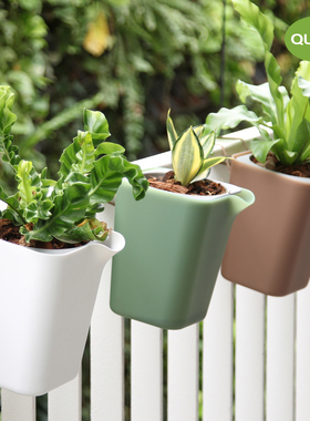 泰国qualy 储水自吸水绿洲花盆 可悬挂塑料花器 回收环保材料