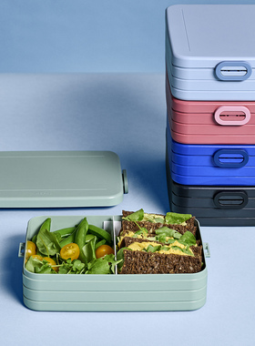 荷兰mepal轻巧简约便当盒长方形塑料饭盒寿司冷食带餐行李箱造型
