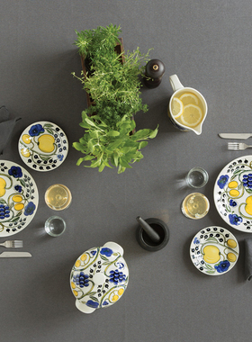 现货芬兰Arabia Paratiisi天堂硕果北欧陶瓷餐盘碗咖啡杯碟马克杯