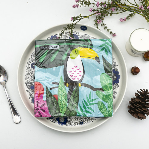 Paper+Design德国印花纸巾33cm