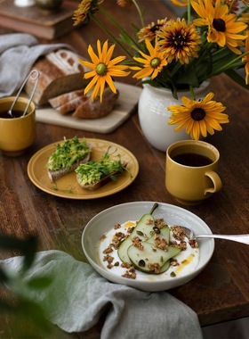 瑞典Rorstrand罗斯兰Hoganas赫格纳斯耐高温陶瓷餐具北欧碗盘杯罐