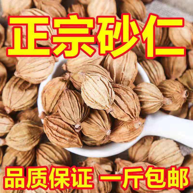 广西香辛料调味品500g无硫川砂仁