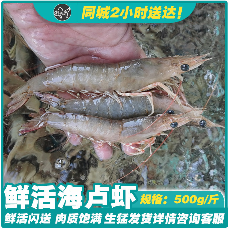 海鲜水产野生鲜活卢虾大海虾生腌虾可代做潮汕生腌同城可配送活虾