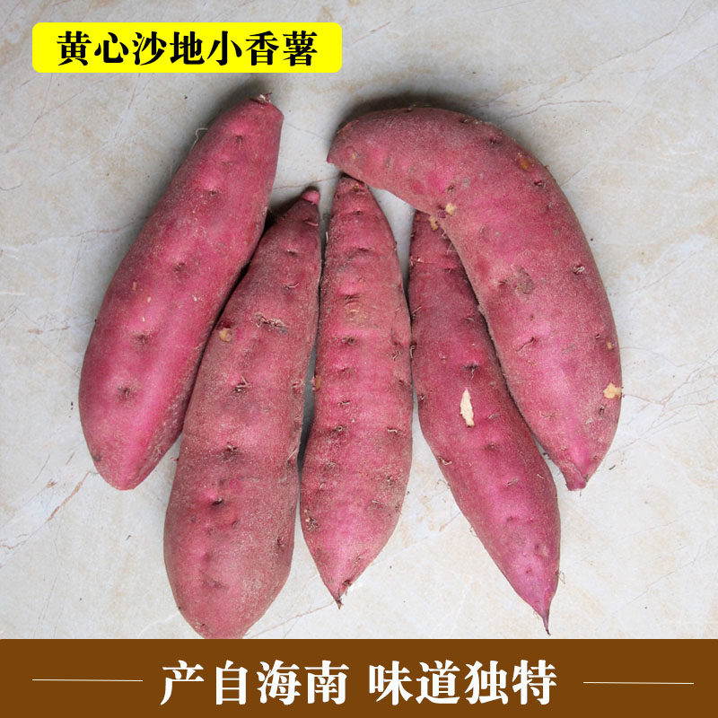 海南沙地黄心小香薯新鲜临安天目山红薯板栗5斤无筋农家山芋蜜薯
