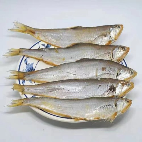 海鲜山东特产黄鲫鱼净重风干海鲜