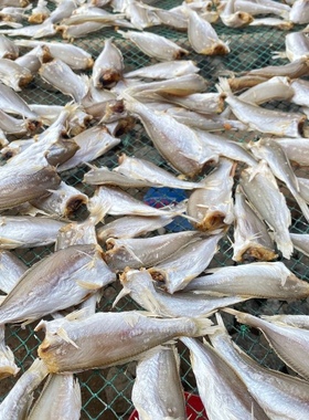 无头咸鱼干半干小黄鱼白姑鱼黄花鱼干渔民自制风干新鲜山东特产