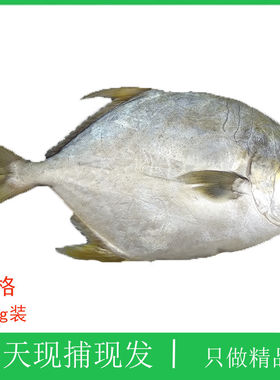 海鲜，金鲳鱼，顺丰时效