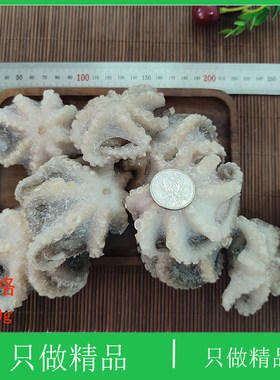 大连海鲜墨鱼乌贼鱿鱼新鲜八带小章鱼八抓鱼网红爆头冷冻大八爪鱼