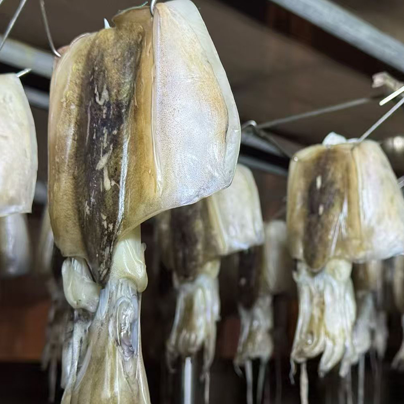 大连海鲜特产墨鱼干乌贼干