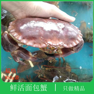大连海鲜鲜活珍宝蟹香辣黄金蟹膏蟹新鲜飞蟹母螃蟹面包蟹