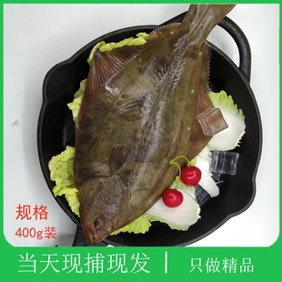 大连石甲子石岗鱼石匠鱼大个新鲜比目偏口鱼鲜活小嘴七星石浆海鱼