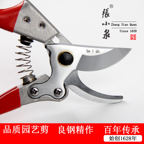 张小泉园林剪枝剪刀 SK5果树修枝剪盆景园艺剪花剪强力剪子粗枝剪