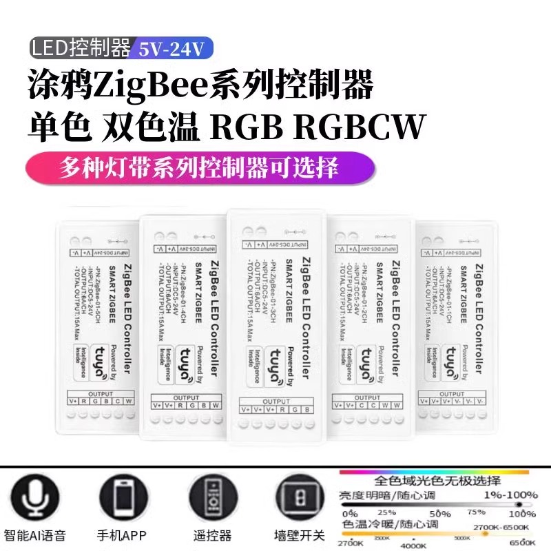 涂鸦智能语音控制双色七彩RGBCW