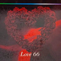 Любовь 66 1 кг
