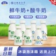 益益4.0高品质鲜牛奶230ml 7瓶本地牧场酸牛奶巴氏杀菌日期新鲜