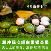 腾冲银杏果新鲜绿心糯白果古树老品种无苦味香甜软糯可口银杏 包邮
