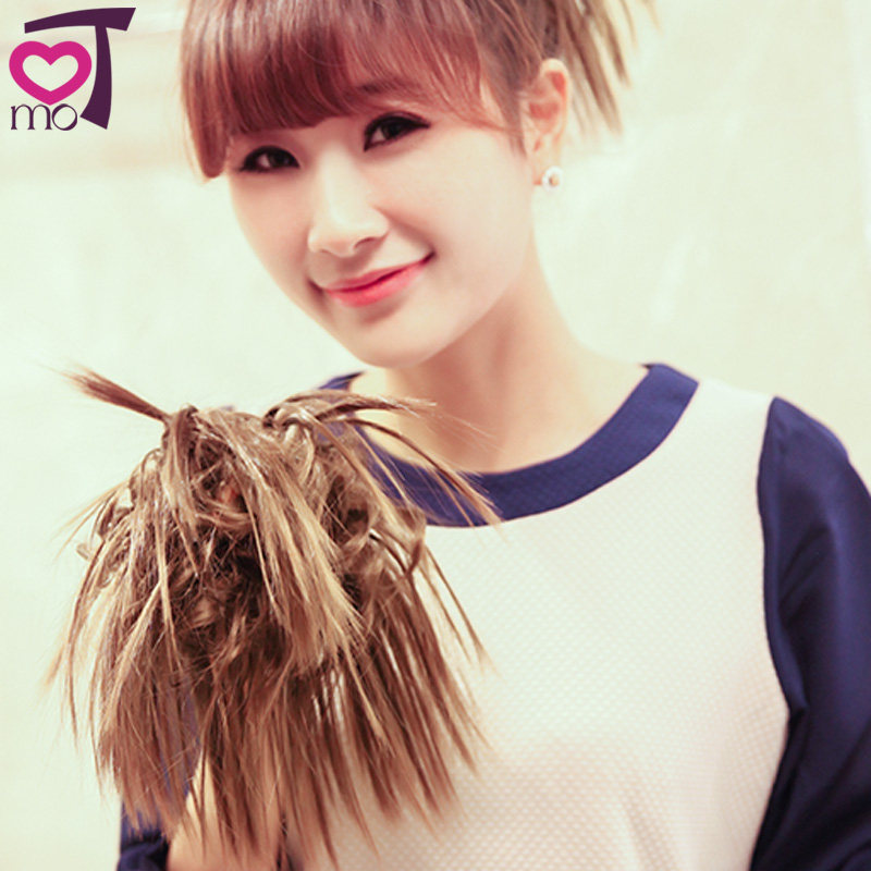 Extension cheveux - Chignon - Ref 235604 Image 1