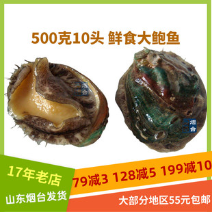 鲜食鲍鱼未调味速冻即食470g包邮烟台特产盘鲍熟鲍鱼贝类山盟海市