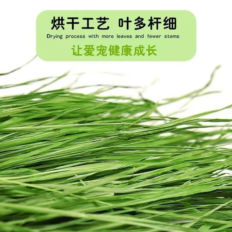 26年烘干头茬箱装提摩西草段兔兔荷兰猪龙猫豚鼠兔干草一箱包邮