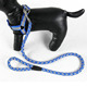 宠物狗牵引绳小型犬可爱中大型犬拉布拉多金毛反光胸背带狗链子