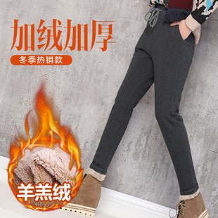 加绒运动裤女冬天加厚羊羔绒裤子宽松卫裤保暖外穿大码休闲哈伦裤
