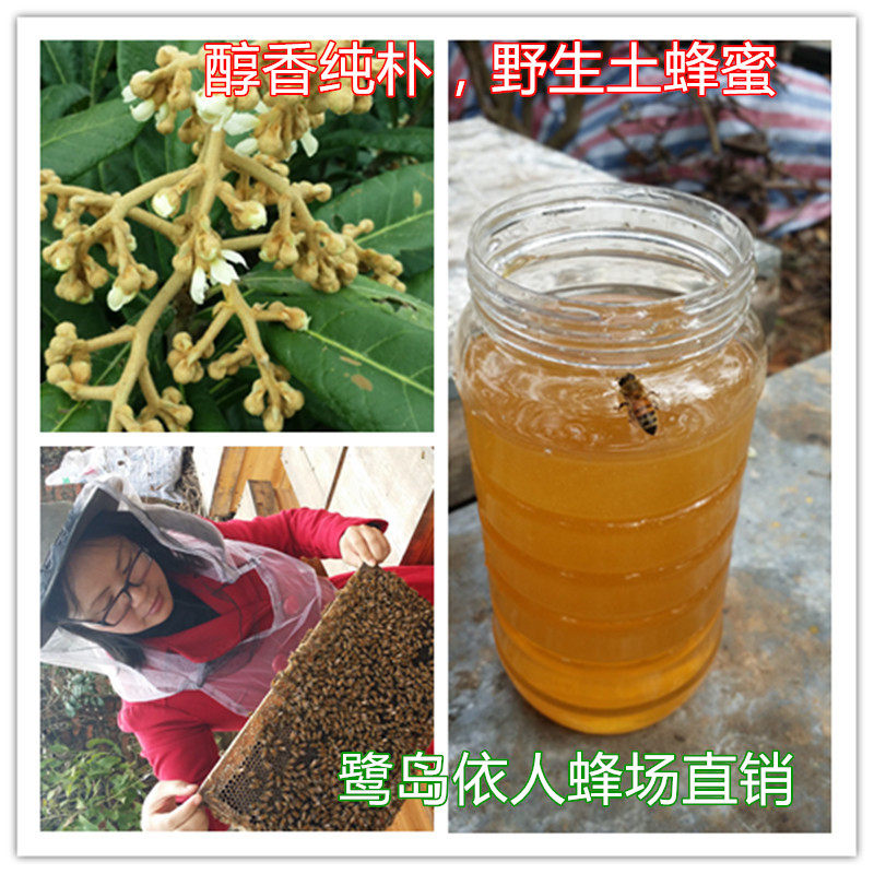 1月新品天然无加工蜂蜜枇杷蜜/土蜂蜜/蜜糖/福建特色冬蜜易结晶