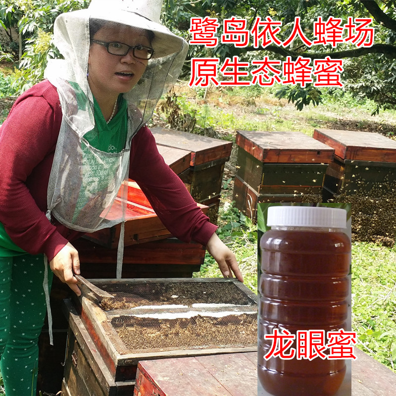 鹭岛依人农家自产天然无加工无浓缩原生态土蜂蜜龙眼蜜500克正品