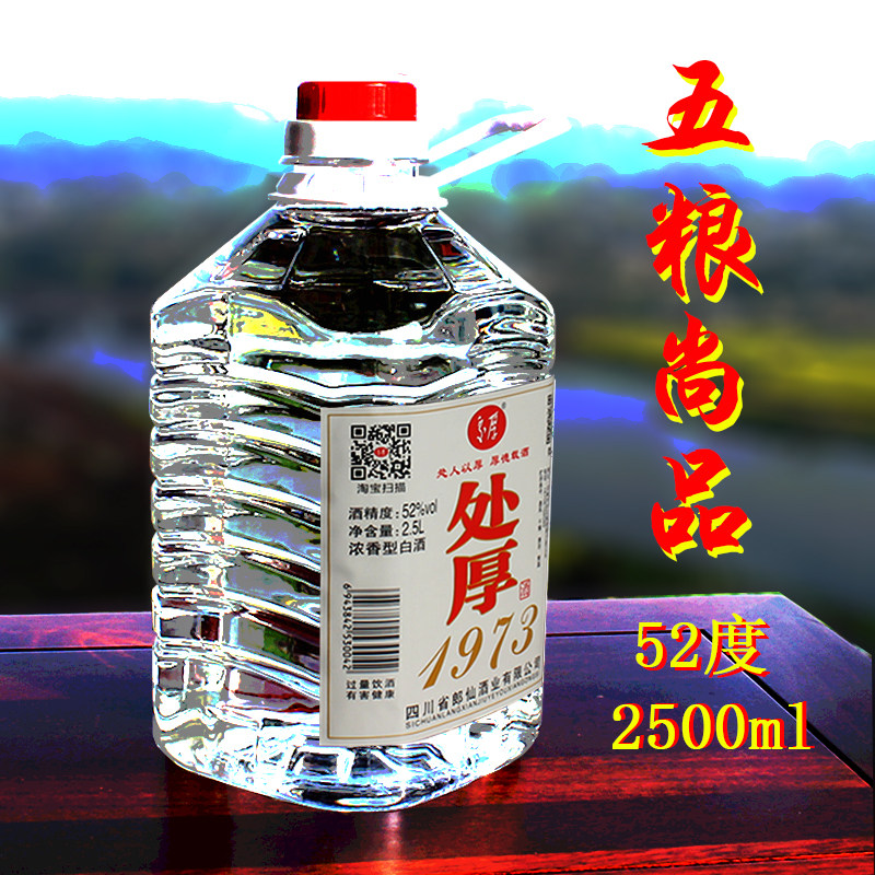 处厚1973 五粮白酒陈年双轮酒 固态发酵52度纯粮川邛酒泡药酒整箱