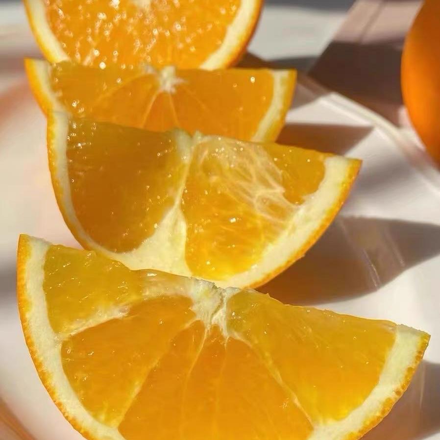 无添加橙新鲜现摘溆浦纽荷尔脐