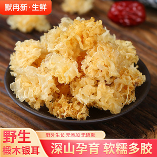 【现货】野生小银耳 干货特级野生椴树小朵雪耳丑耳糯银耳莲子羹