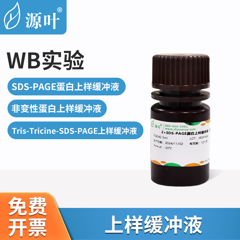 源叶蛋白上样缓冲液WB实验