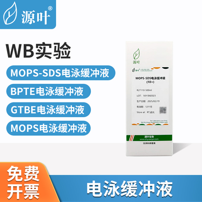 源叶电泳缓冲液实验室试剂