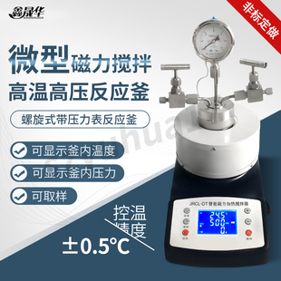微型磁力攪拌高溫高壓通氣體反應釜加氫釜水熱合成反應釜100ml