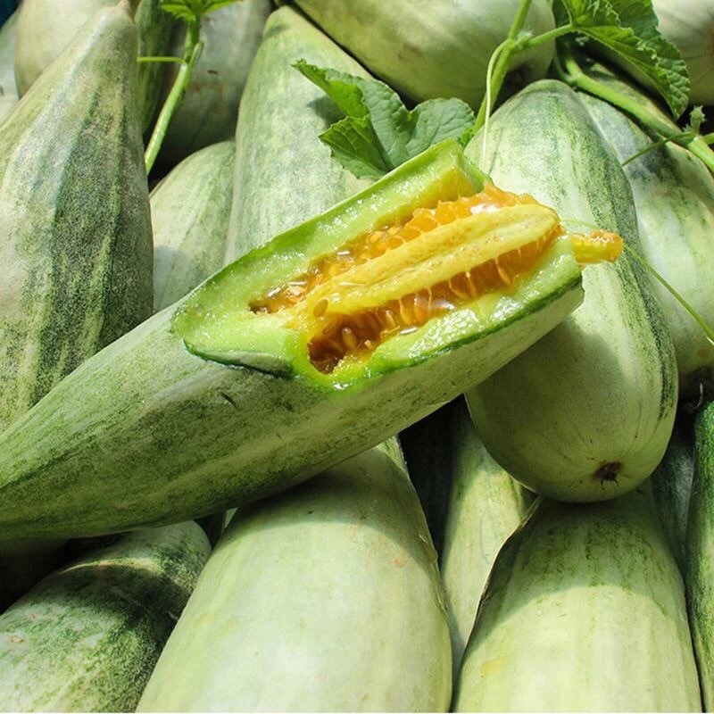 农家传统酥瓜种子 老种子 非转基因  非杂交 可留种 农村种子包邮