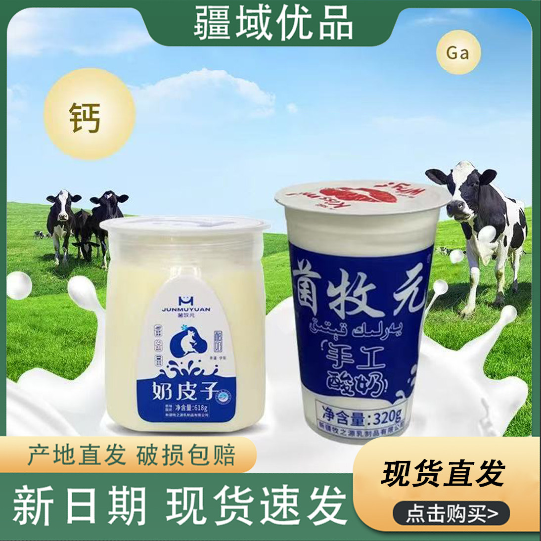 新疆特产 手工老酸奶菌牧元奶皮子酸奶0添加鲜奶发酵营养早餐酸奶