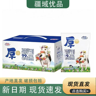 新疆花园厚牛奶200g*12袋CBP初乳碱性蛋白学生营养早餐牛奶