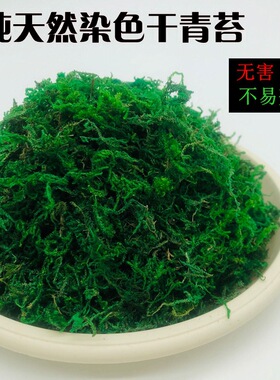 染色青苔仿真花铺面材料
