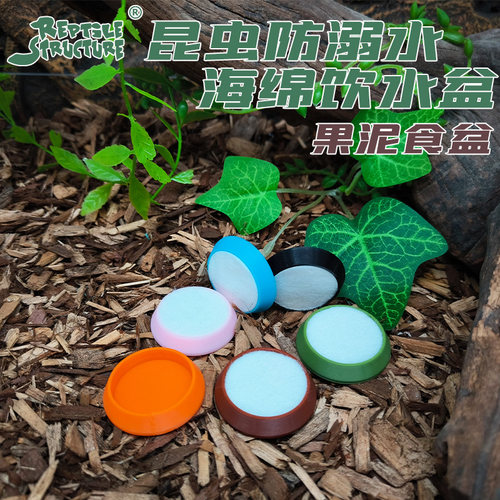 RS防溺水迷你七彩小水盆