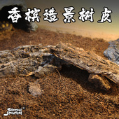 爬宠造景香槟树皮守宫蜥蜴蝎子蛇蜘蛛躲避遮挡鼠妇西瓜虫防腐防潮