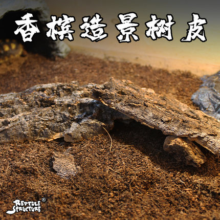 爬宠造景香槟树皮守宫蜥蜴蝎子蛇蜘蛛躲避遮挡鼠妇西瓜虫防腐防潮