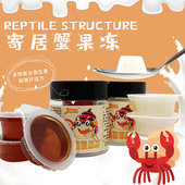 寄居蟹专用果冻吃喝一体补水饱腹高补钙高蛋白发色营养蟹粮饲料