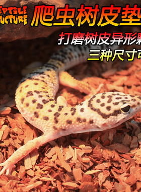 Reptile Structure爬虫打磨树皮垫材爬箱陆龟箱蜥蜴守宫爬宠底材