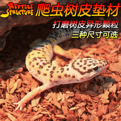 爬虫REPTiLESTRUCTURE