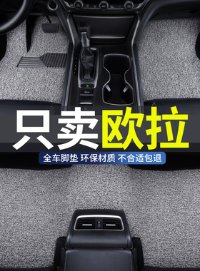 丝圈汽车脚垫欧拉5黑猫r2白猫r1好猫gt地垫iq专用2025款25地毯26