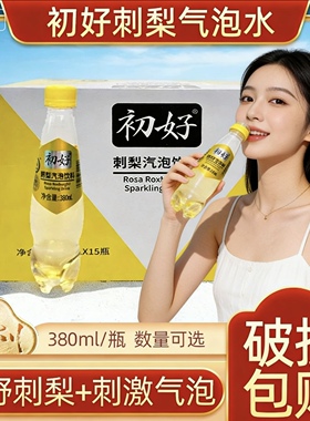 初好刺梨冰点气泡水380ml*15瓶网红刺梨饮料贵州特产夏日果汁饮料